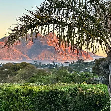 Ferienwohnung The Palm Hout Bay Kapstadt Exterior foto