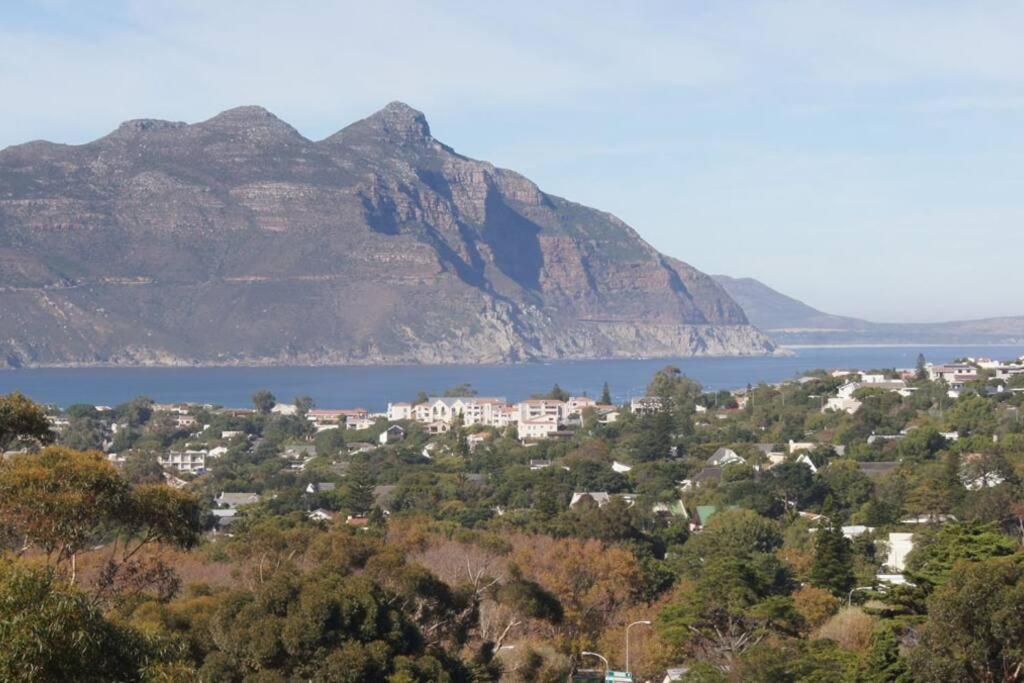 The Palm Hout Bay * Kapstadt
