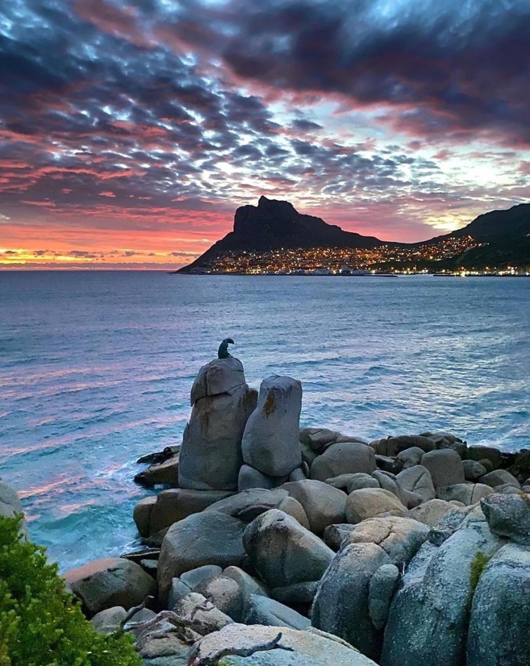 Apartment The Palm Hout Bay Kapstadt