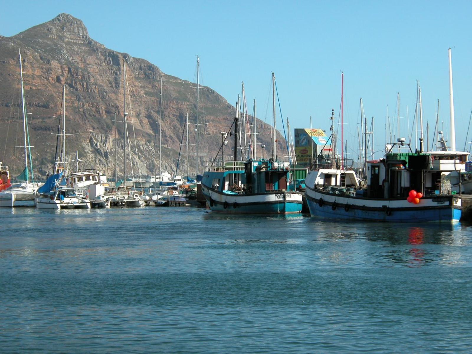The Palm Hout Bay Apartment Kapstadt