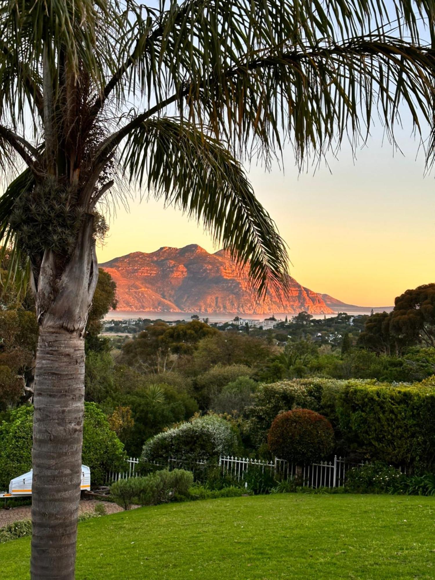 The Palm Hout Bay * Kapstadt