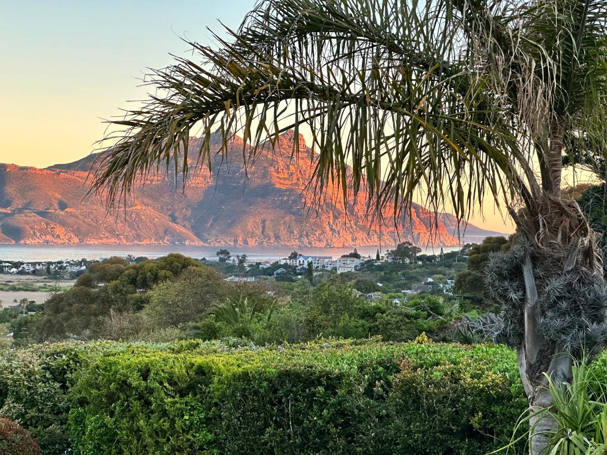 The Palm Hout Bay *