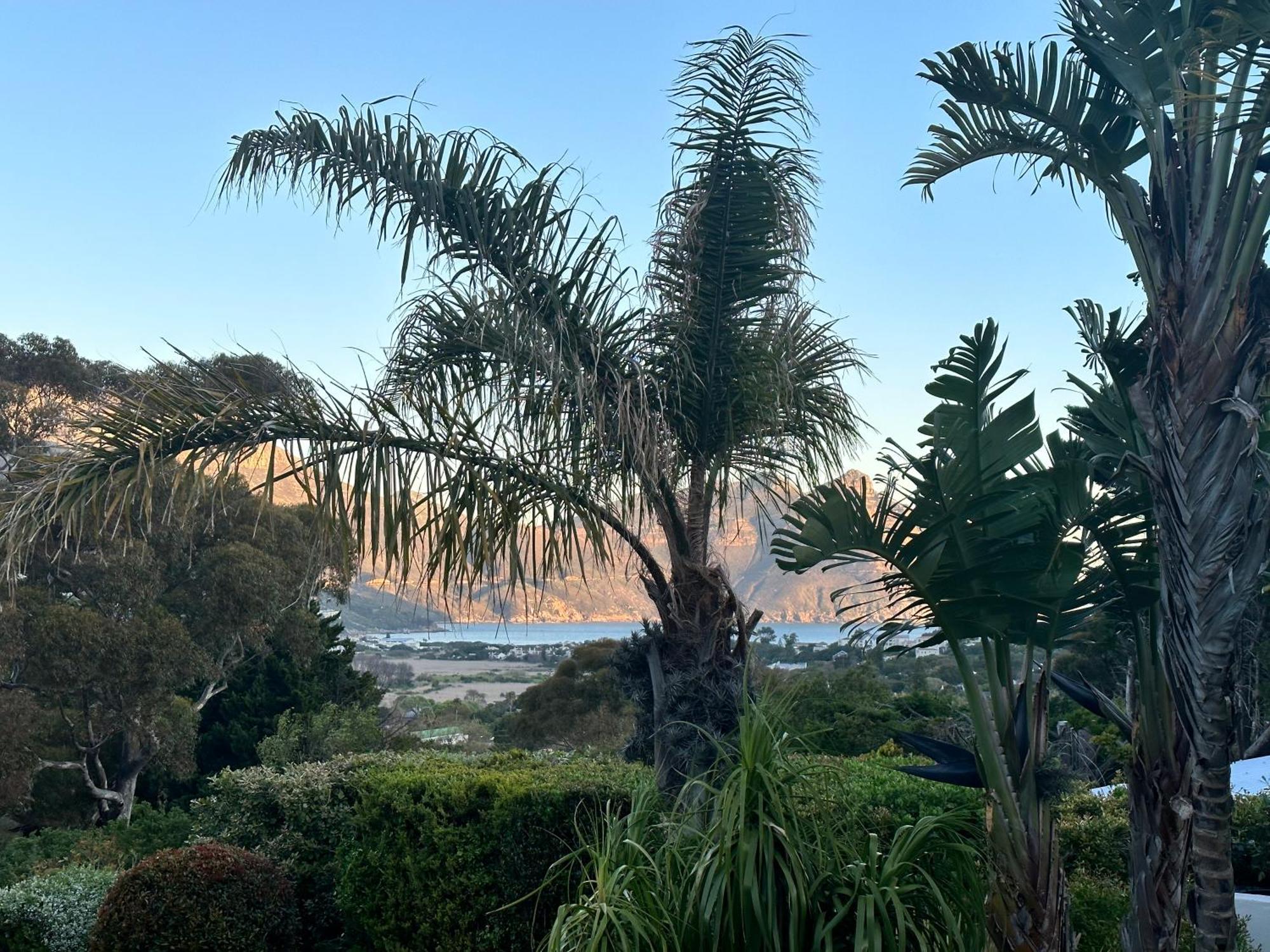 The Palm Hout Bay Apartment